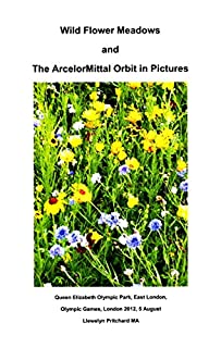 Wild Flower Meadows and The ArcelorMittal Orbit in Pictures (Albuns de Fotos Livro 18)